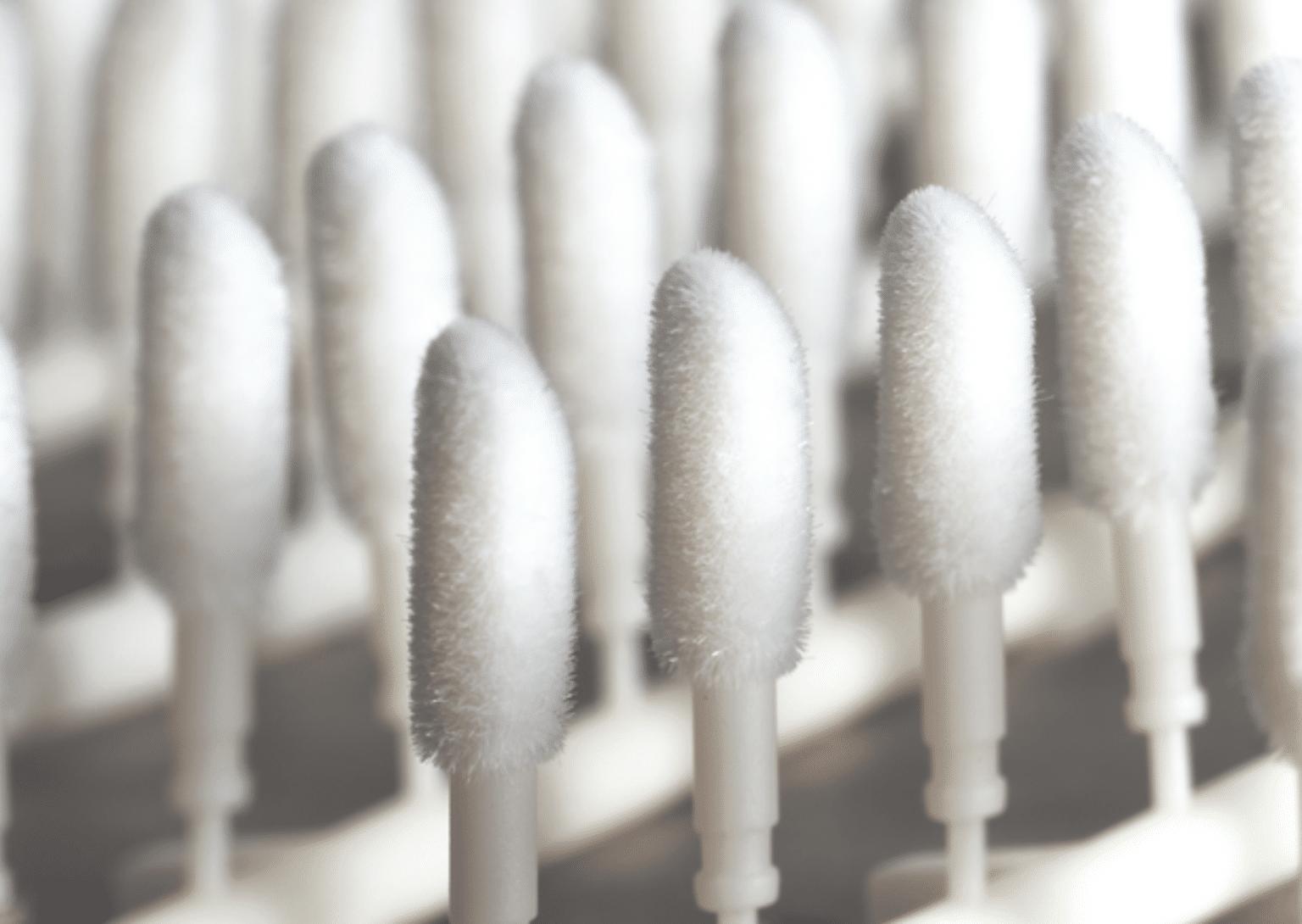 Tip flocking / SWAP flocking / Test sticks Maag Flock GmbH